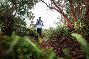 BIB: 
                            <button type="button" onclick="openModal(26209696)" class="btn btn-primary btn-sm float-right btn-popup" data-toggle="modal" data-target=".modal-high-quality">
                        <i class="fas fa-shopping-cart"></i> Add to Cart
                    </button>
                                            <button type="button" onclick="isThisMe(26209696, true)" class="btn btn-success btn-sm float-right btn-popup btn-isme hidden" data-toggle="tooltip" data-placement="bottom" title="นี่คือรูปของคุณใช่ไหม คลิกที่นี่เพื่อเอาเข้าอัลบั้ม">
                        <i class="fas fa-plus"></i> Add to album
                    </button>
                    <button type="button" onclick="isThisMe(26209696, false)" class="btn btn-warning btn-sm float-right btn-popup btn-isnotme hidden">
                        <i class="fas fa-ban"></i> Remove from album
                    </button>